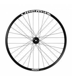 Ruota posteriore Mavic Deemax Park Micro Spline 29"