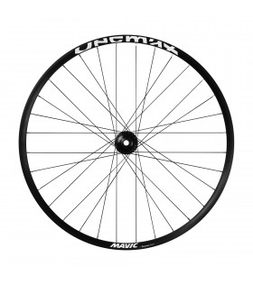 Ruota anteriore Mavic Deemax Park Boost 29"