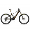 Orbea Wild M-LTD 2025