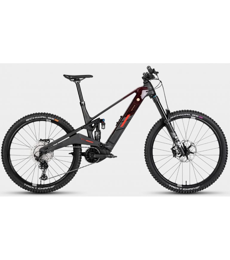 Rotwild R.Ecx Pro 2025