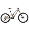 Orbea Rallon E-Team 2026
