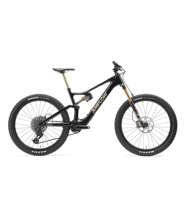 Amflow PL Carbon Pro 2026