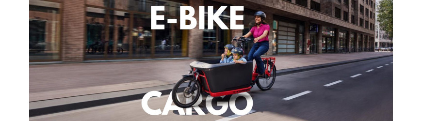 E-Bike Cargo | EbikeStore